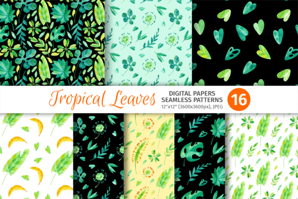 Tropical Jungle Patterns & Palm Leaves